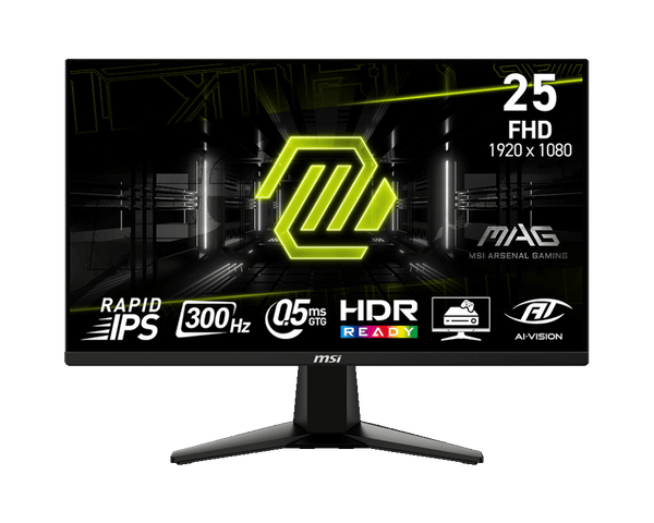 MSI MAG255XF 24.5