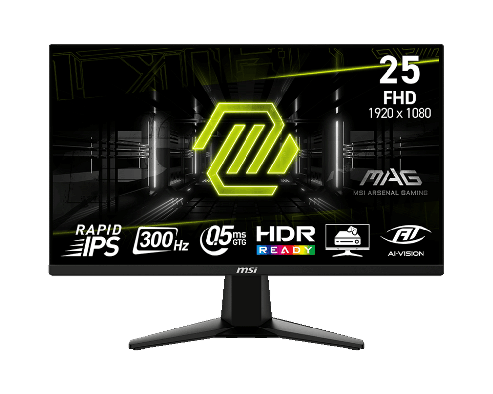 MSI MAG255XF 24.5