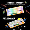 Cosmic Byte Arcturus 75 Tri-Mode Gasket Hot Swappable Mechanical Switch Keyboard (White Amber) View 6