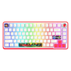 Cosmic Byte Arcturus 75 Tri-Mode Gasket Hot Swappable Mechanical Switch Keyboard (White Red) View 1