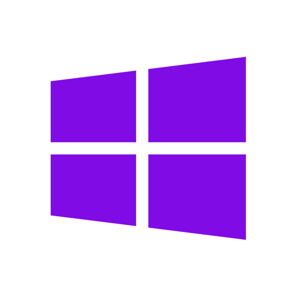 Windows 11 Professional 64 Bit (OEM)